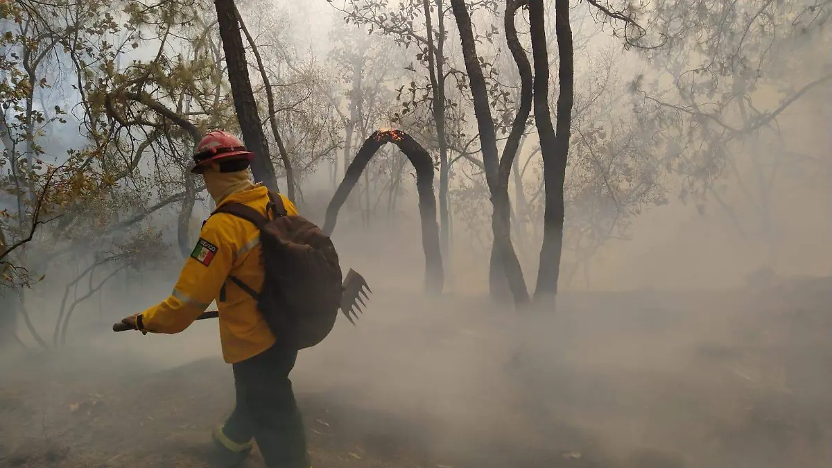 Brigadistas combate incendio paraje Milpillas